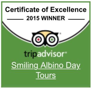 smiling albino tripadvisor logo