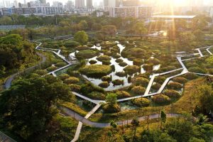 HeroBangkokAdventuresYoullNeverForget-BenjakittiForestPark-CreditTurenscape