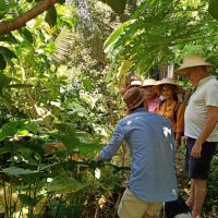 Liquid Bangkok - Poomjai Garden 1