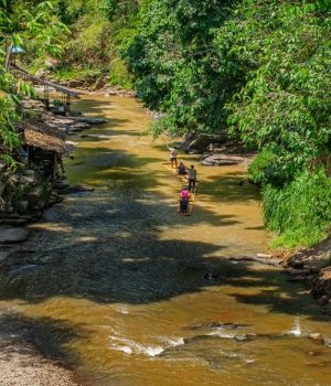 Mae Wang Bamboo Rafting Chiangmai THA