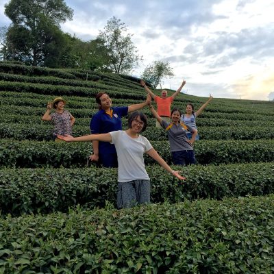 tea plantation team experience