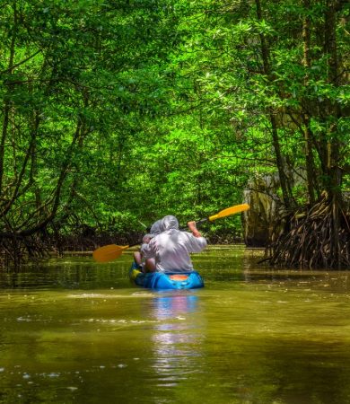 kayak phuket thailand shutterstock_1067806841 (LR) kayak phuket thailand shutterstock_1067806841 (LR)