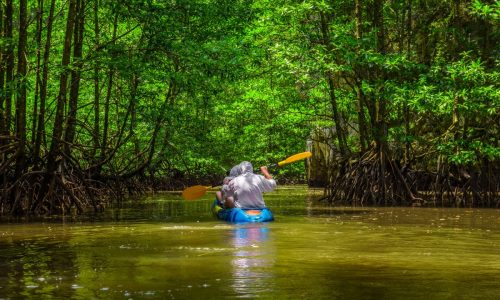 kayak phuket thailand shutterstock_1067806841 (LR)