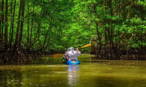 kayak phuket thailand shutterstock_1067806841 (LR)