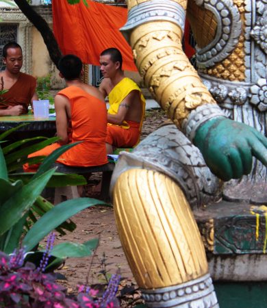 laos-vientiane-smiling-albino_44 laos-vientiane-smiling-albino_44