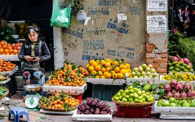 vietnam-fair-1505686_1920-pixabay